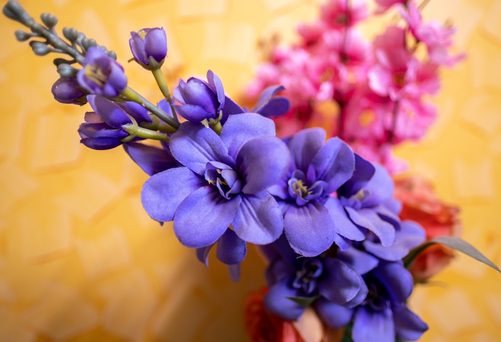 purple flower in tilt shift lens