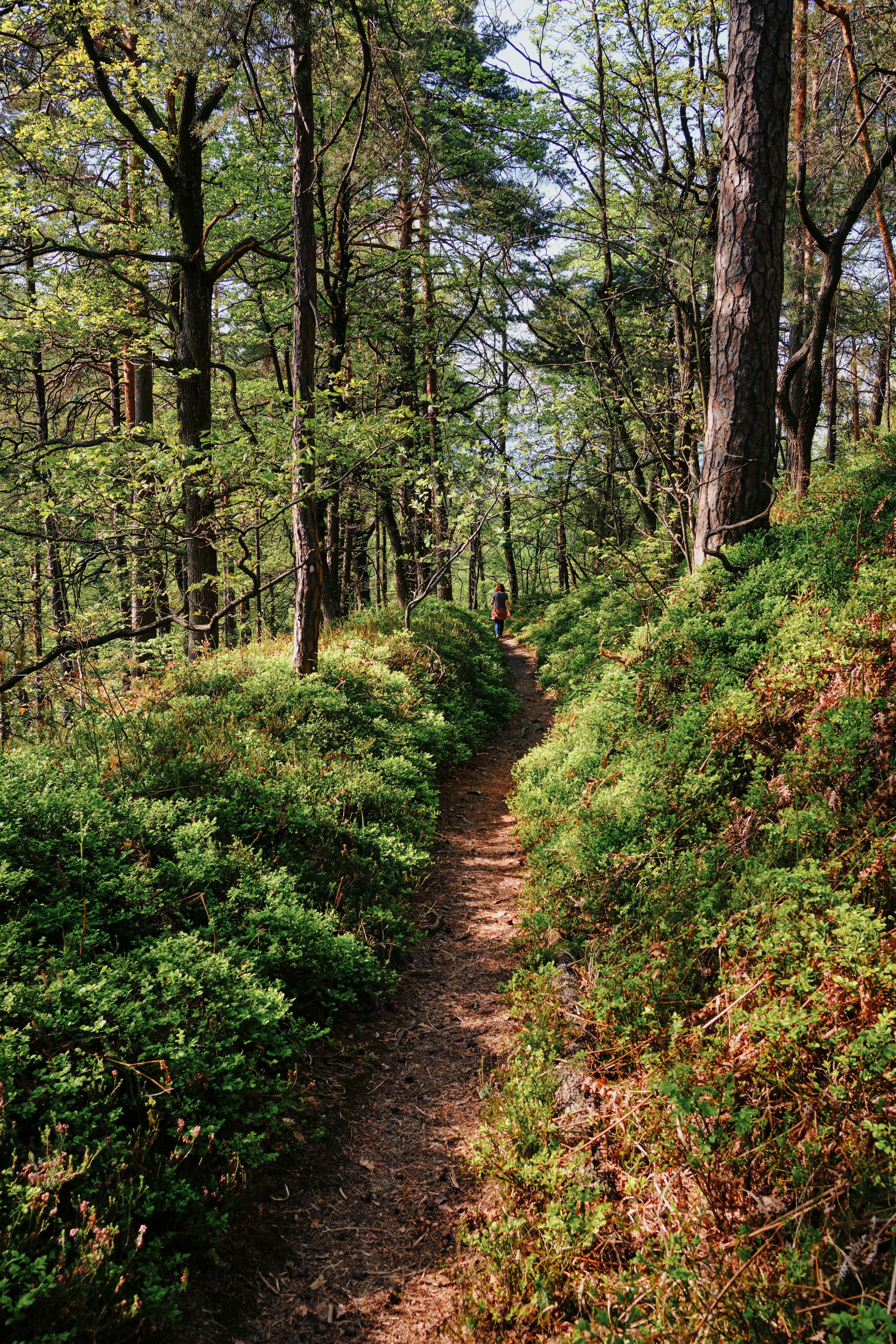 Photo by kristjankotar