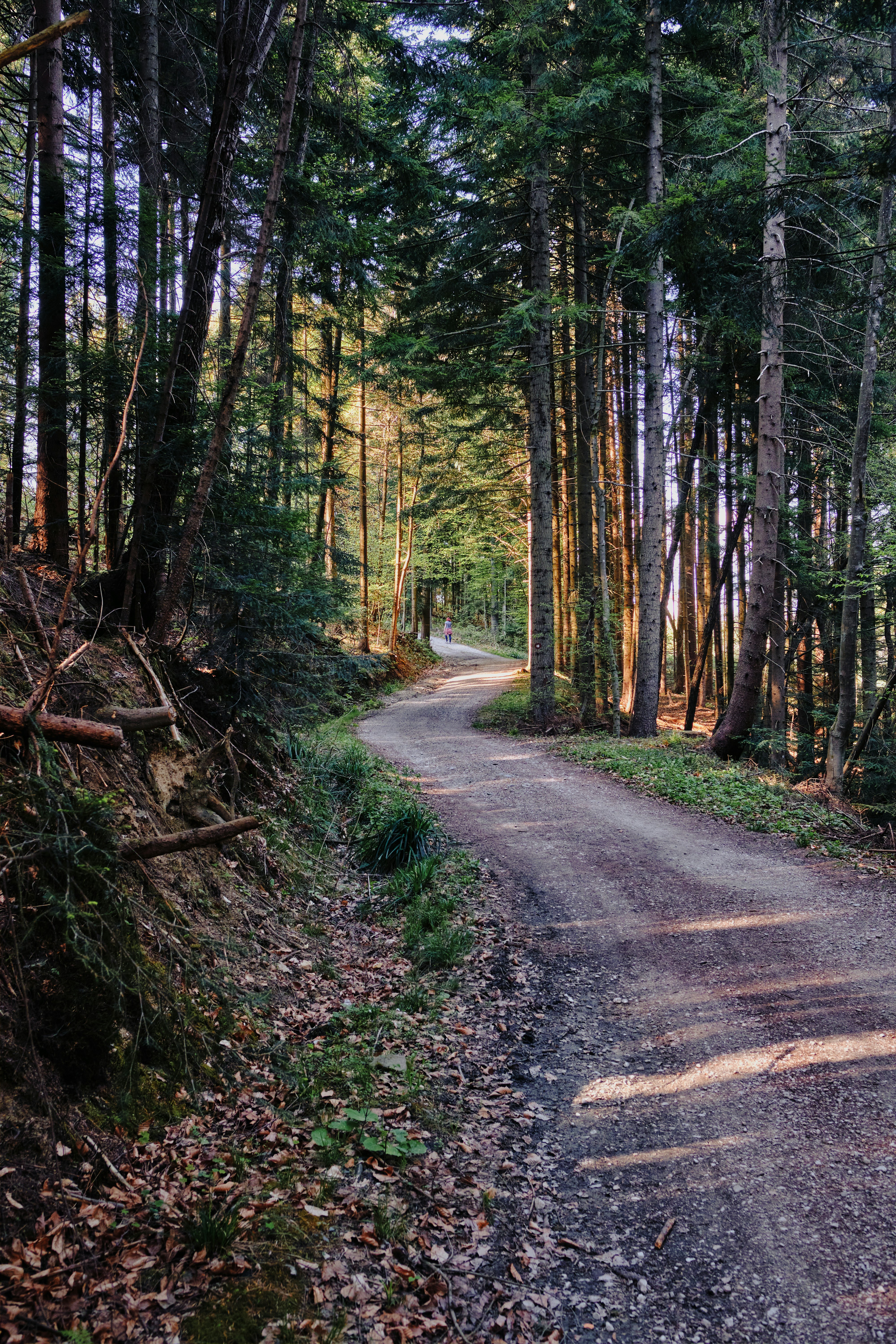 Photo by kristjankotar