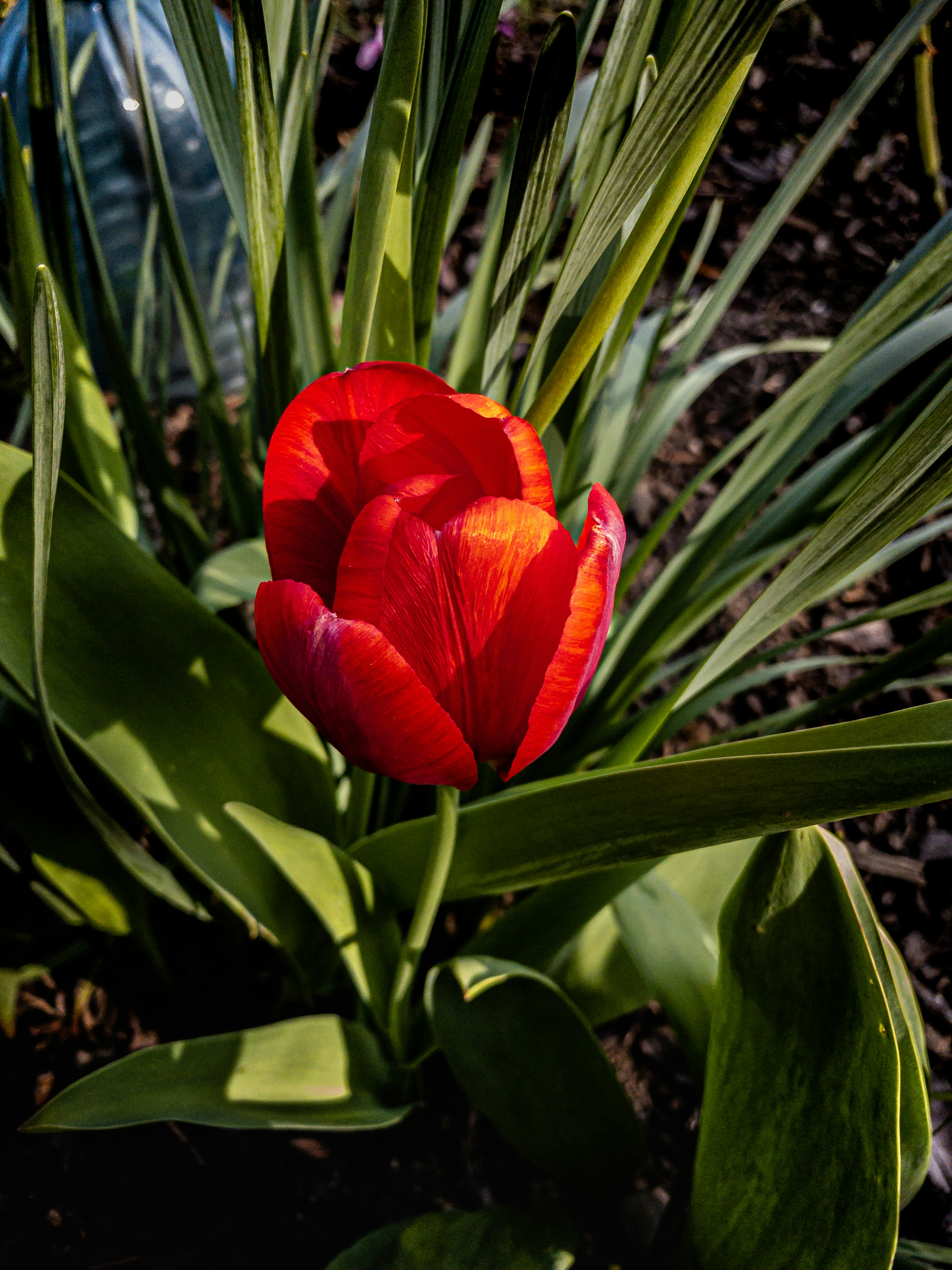 Photo by jakub_neskora