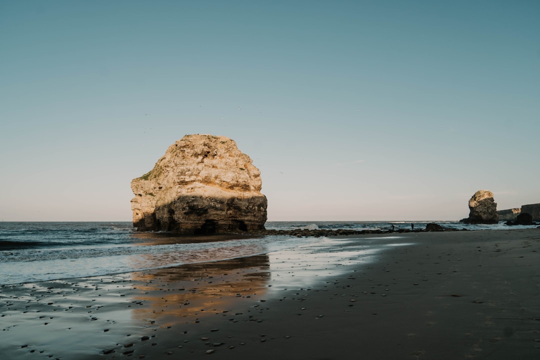 brown rock formation on sea shore during daytime