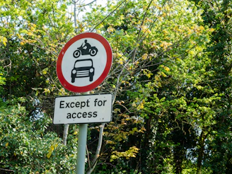 no smoking sign on green trees during daytime
