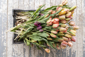 Bright assorted bouquet of tulips in a rustic wooden crate