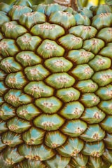 Close-up view of a cluster of vibrant green fruits with a hexagonal pattern, displaying a natural, organic texture. Each section appears slightly raised with brown markings at the center.