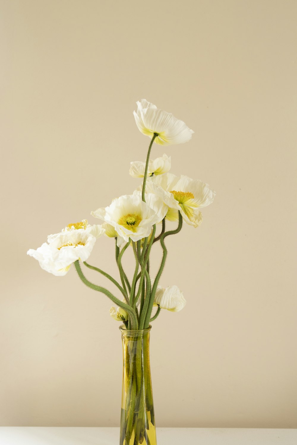 투명 유리 꽃병에 흰 나방 난초