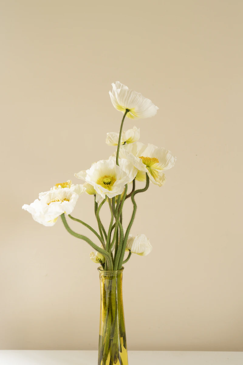 A few delicate white poppies on a warm neutral background