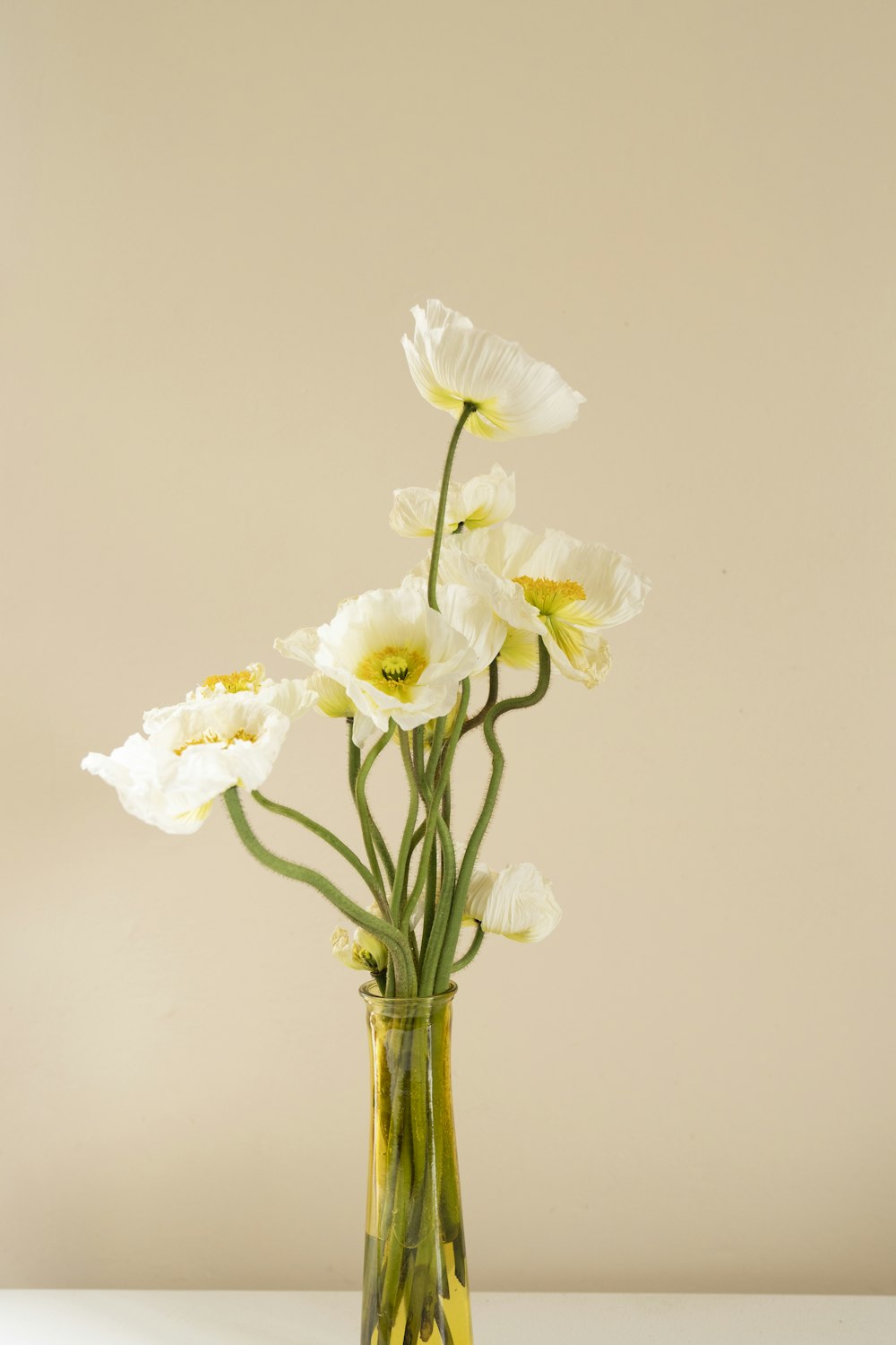 透明なガラスの花瓶に入った白い蛾の蘭