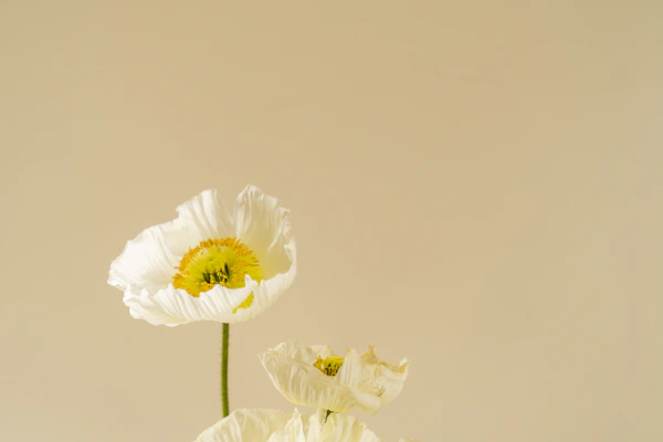 Floral designer working with seasonal flowers at a studio workbench