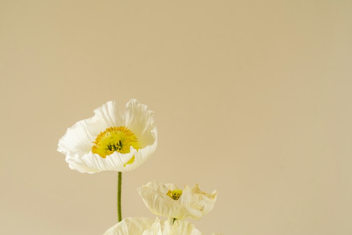 Arrangement