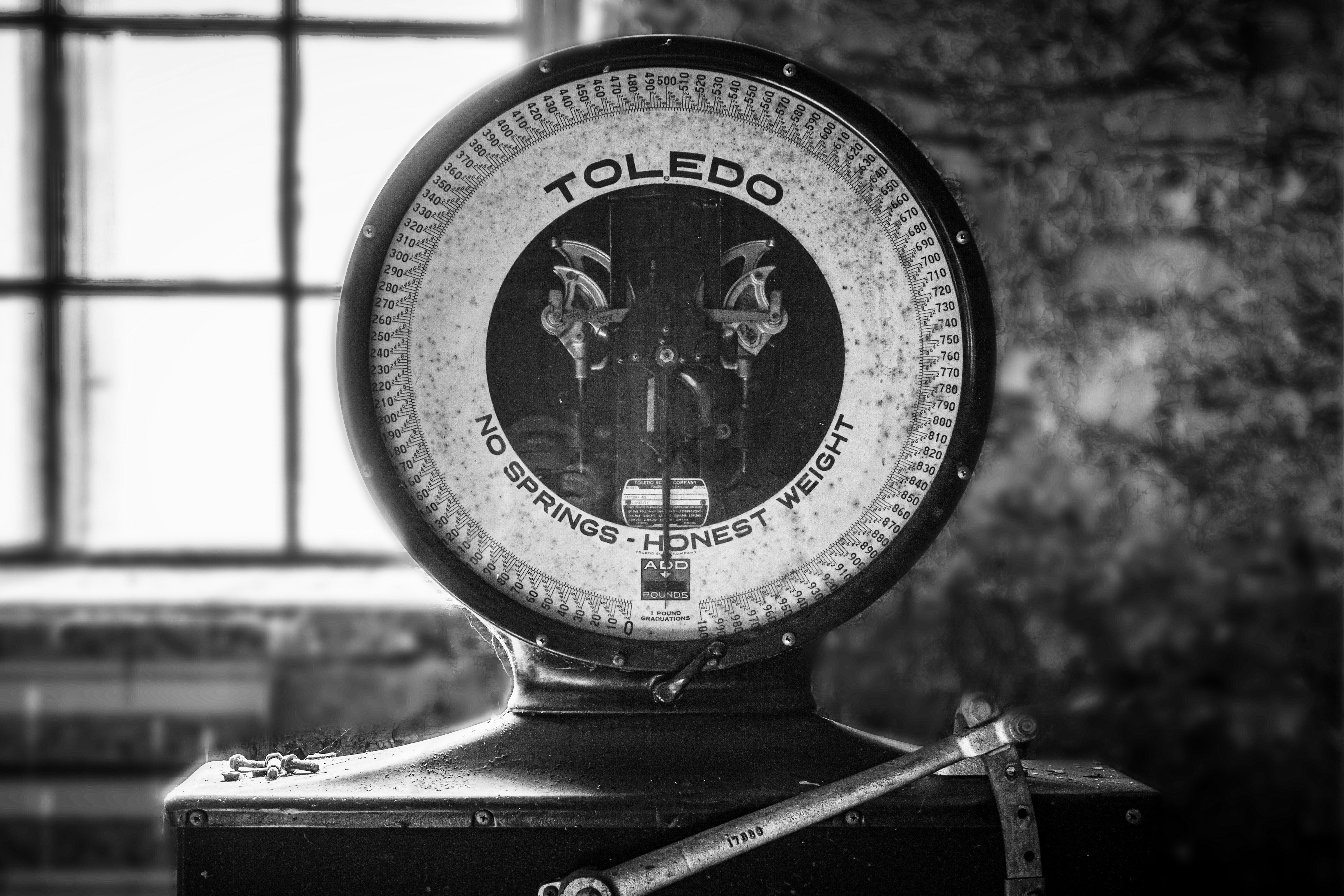 photo-1587320317095-582559397014?ixlib=rb-1.2.1&q=85&fm=jpg&crop=entropy&cs=srgb&ixid=eyJhcHBfaWQiOjYzOTIxfQ&w=4800