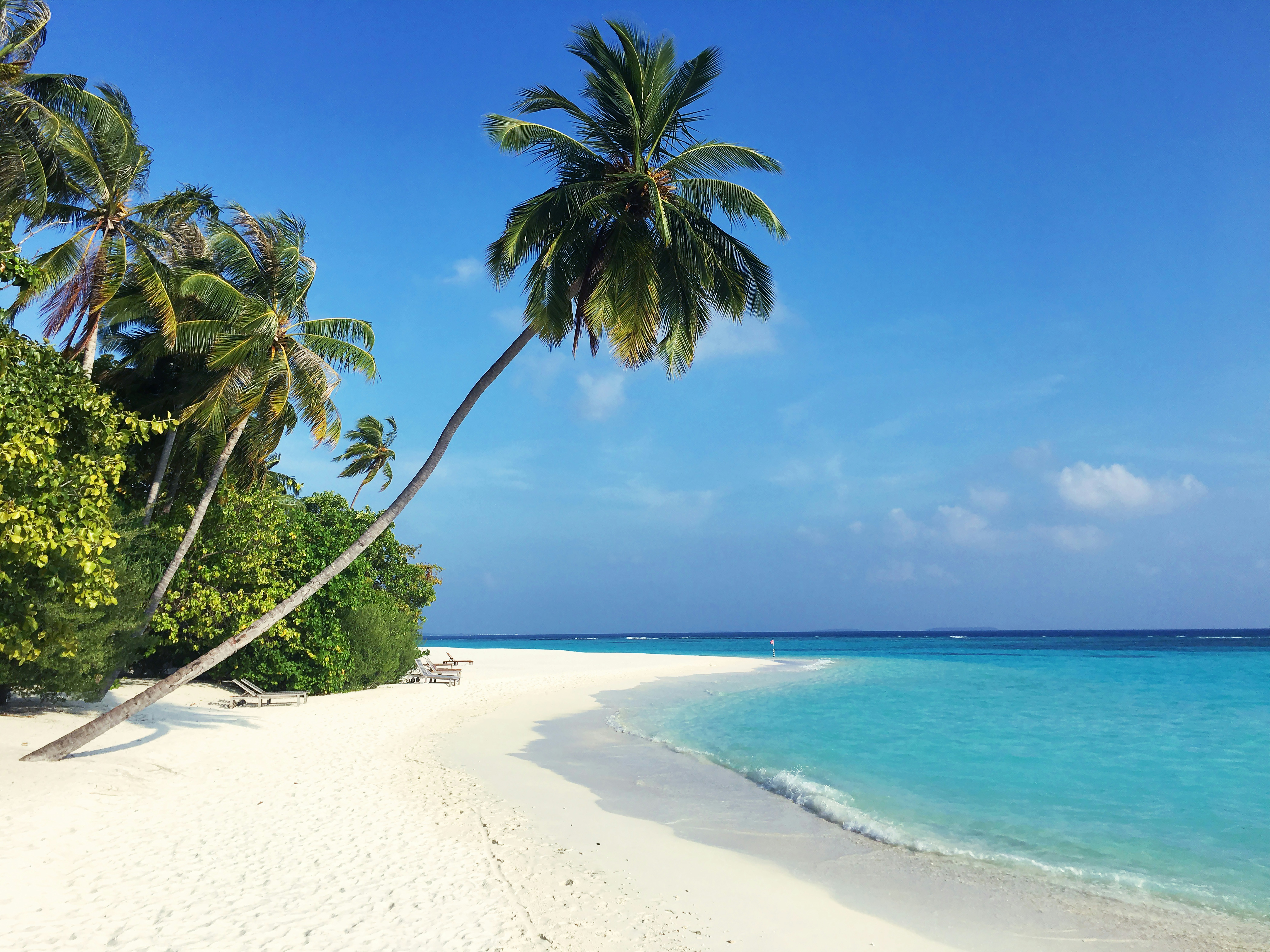 maldives beach