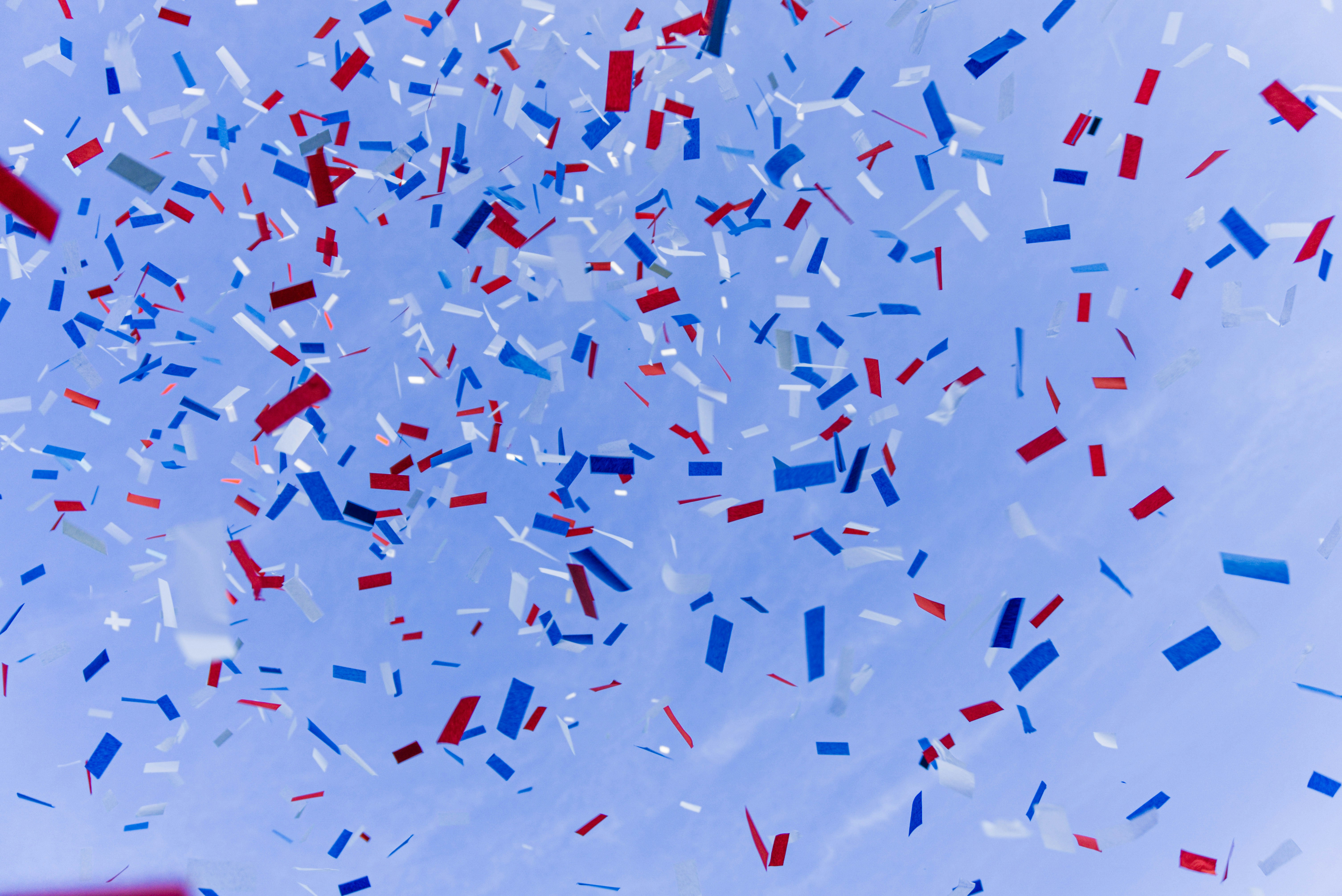 white and blue bird flying