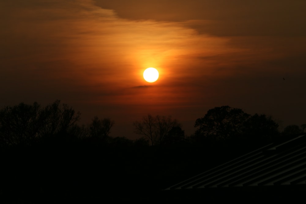 silhouette of trees during sunset