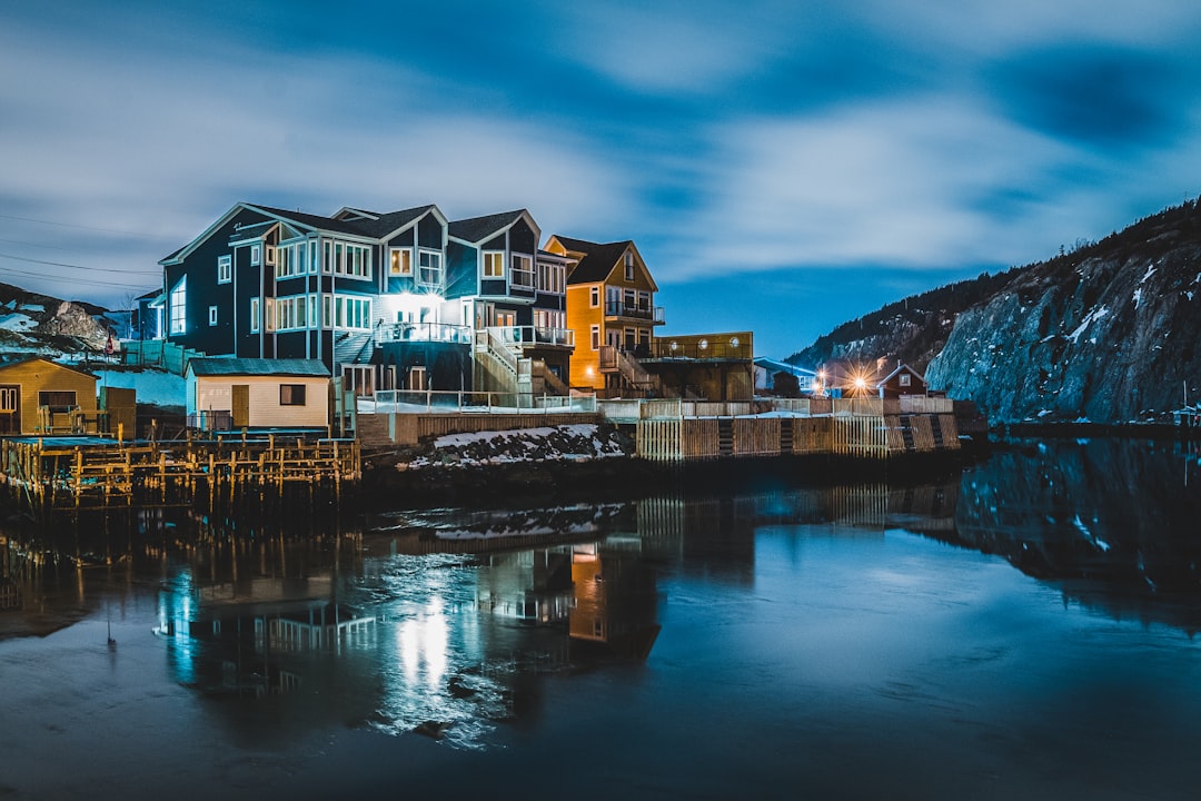 houses near body of water during night time