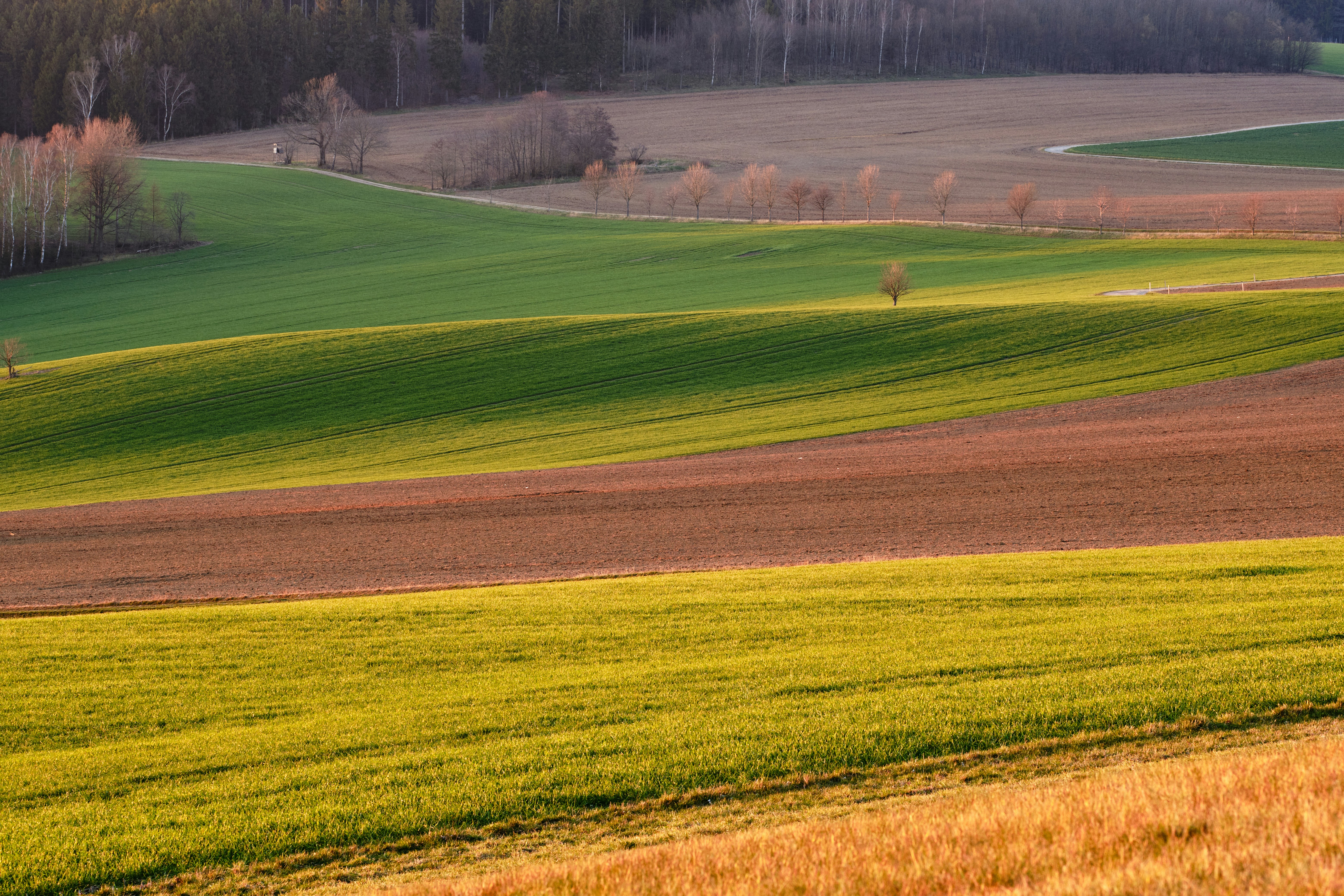 Photo by icarium_imagery