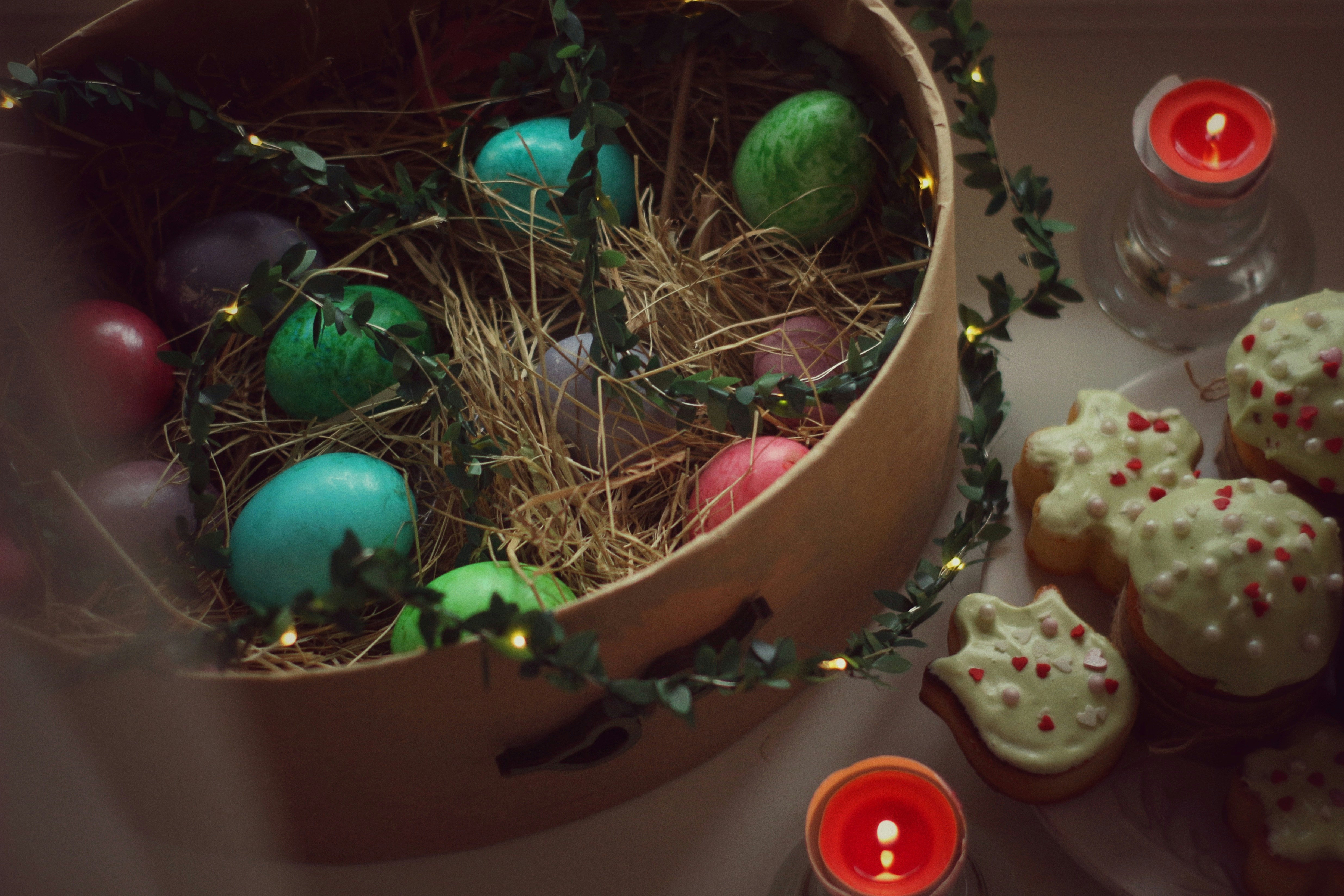 green and brown plant on brown clay pot