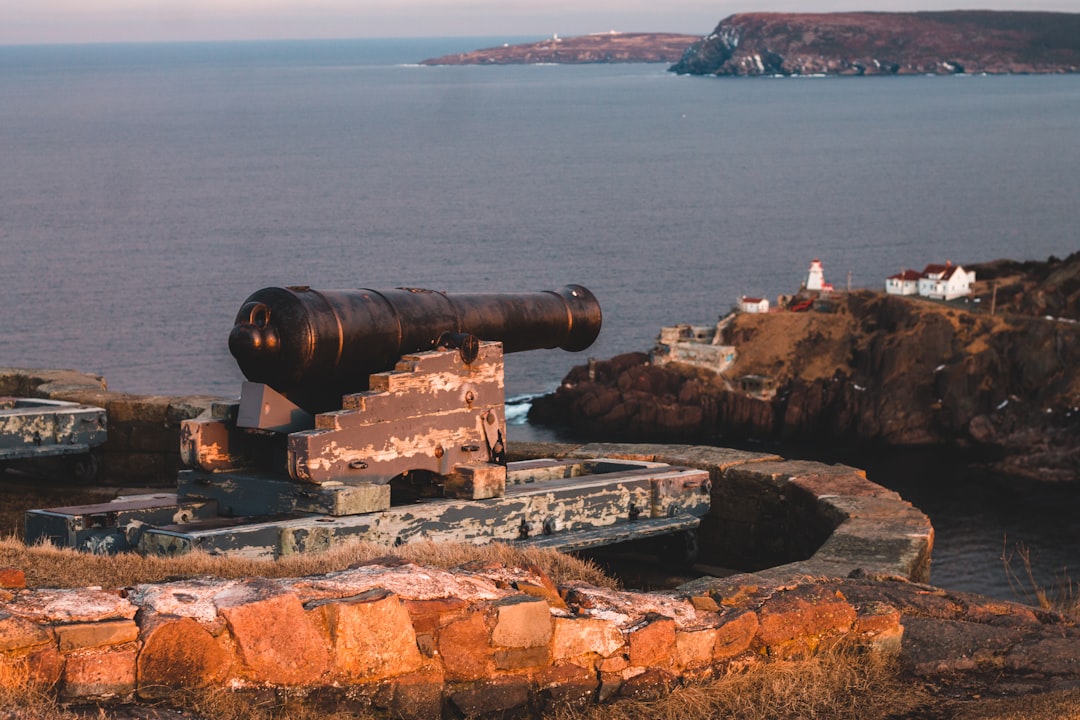 black canon on brown rock near body of water during daytime