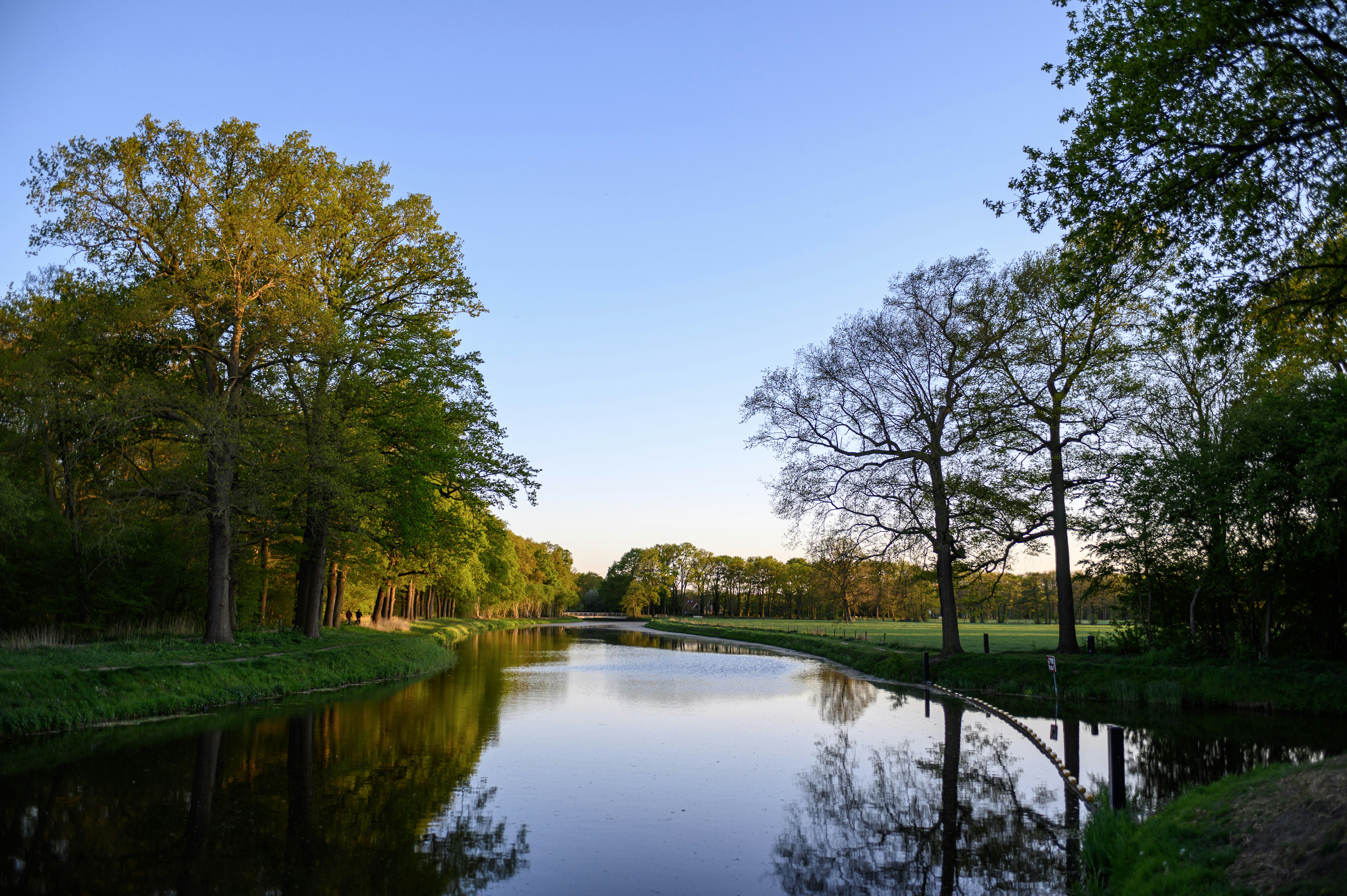 Photo by michelbosma