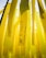 Yellow ribbons with motivational messages hang vertically. One prominent ribbon displays the words 'Be Strong' along with hearts. The background consists of similar yellow ribbons, creating a layered effect.