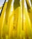 Yellow ribbons with motivational messages hang vertically. One prominent ribbon displays the words 'Be Strong' along with hearts. The background consists of similar yellow ribbons, creating a layered effect.