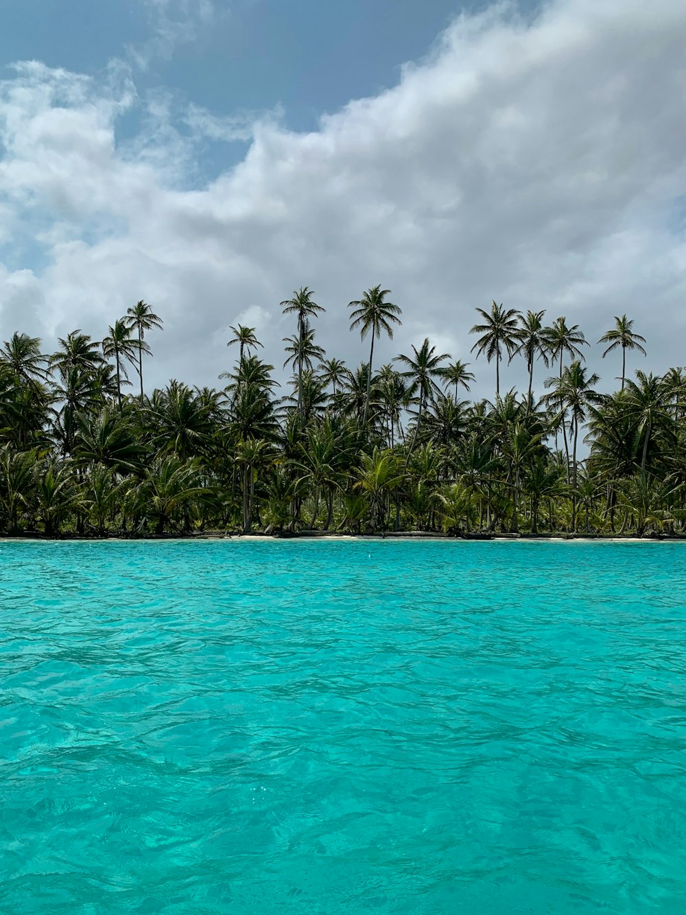 palm trees on blue sea under white clouds and blue sky during daytime