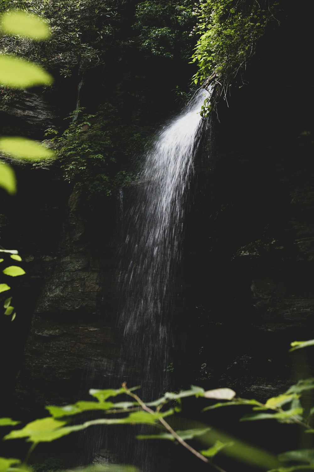 water falls in the middle of green moss covered rocks