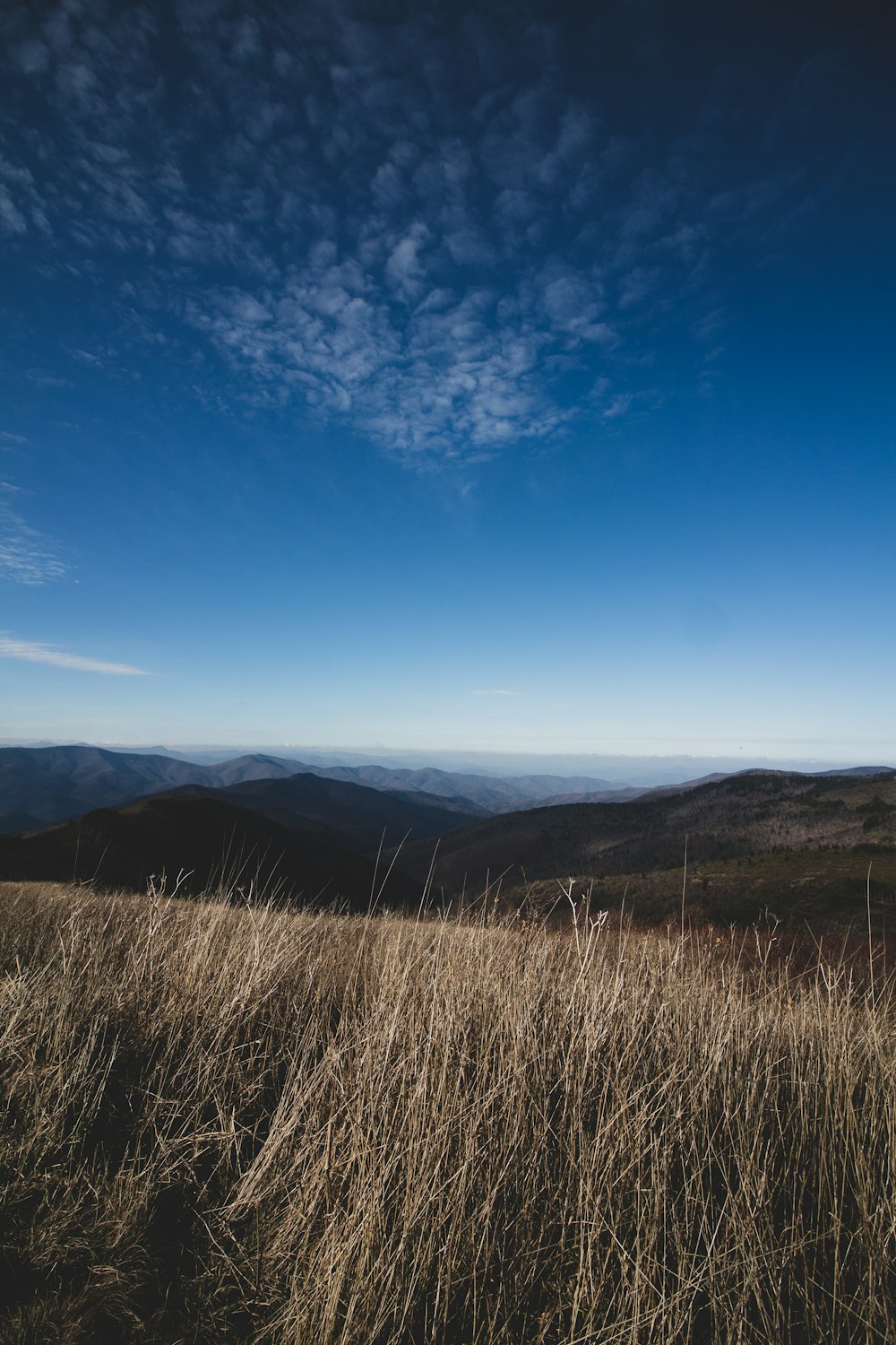 brown grass field near brown mountain under blue sky during daytime