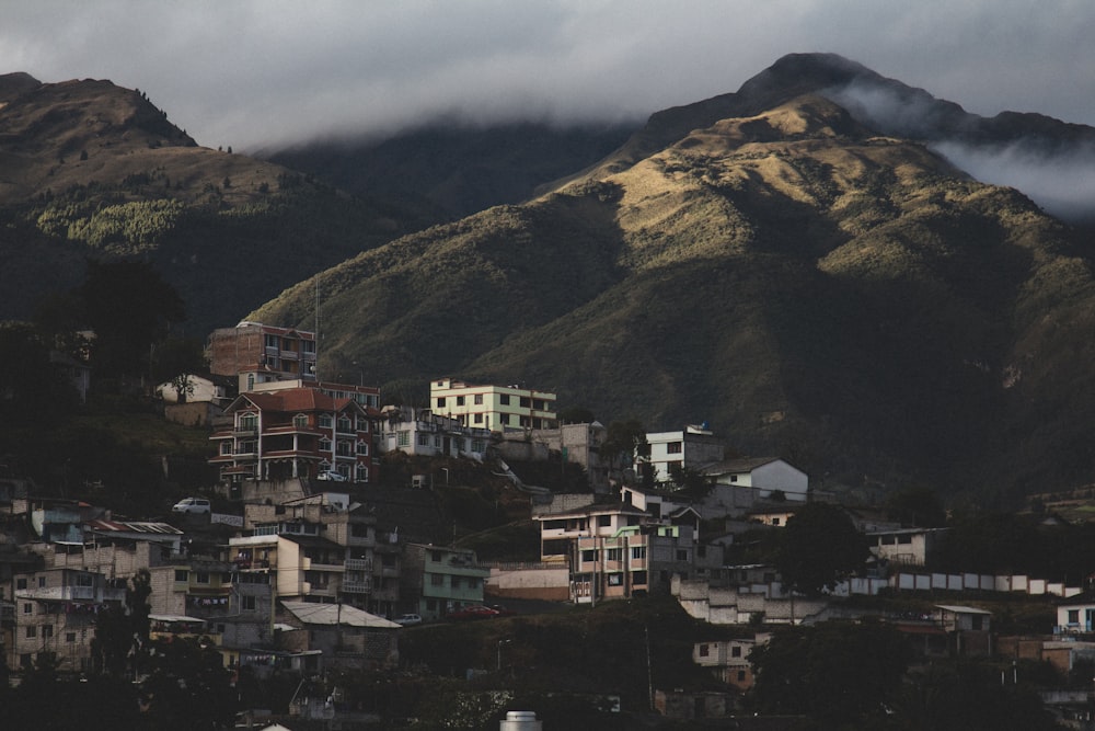 white and brown concrete buildings on green mountain