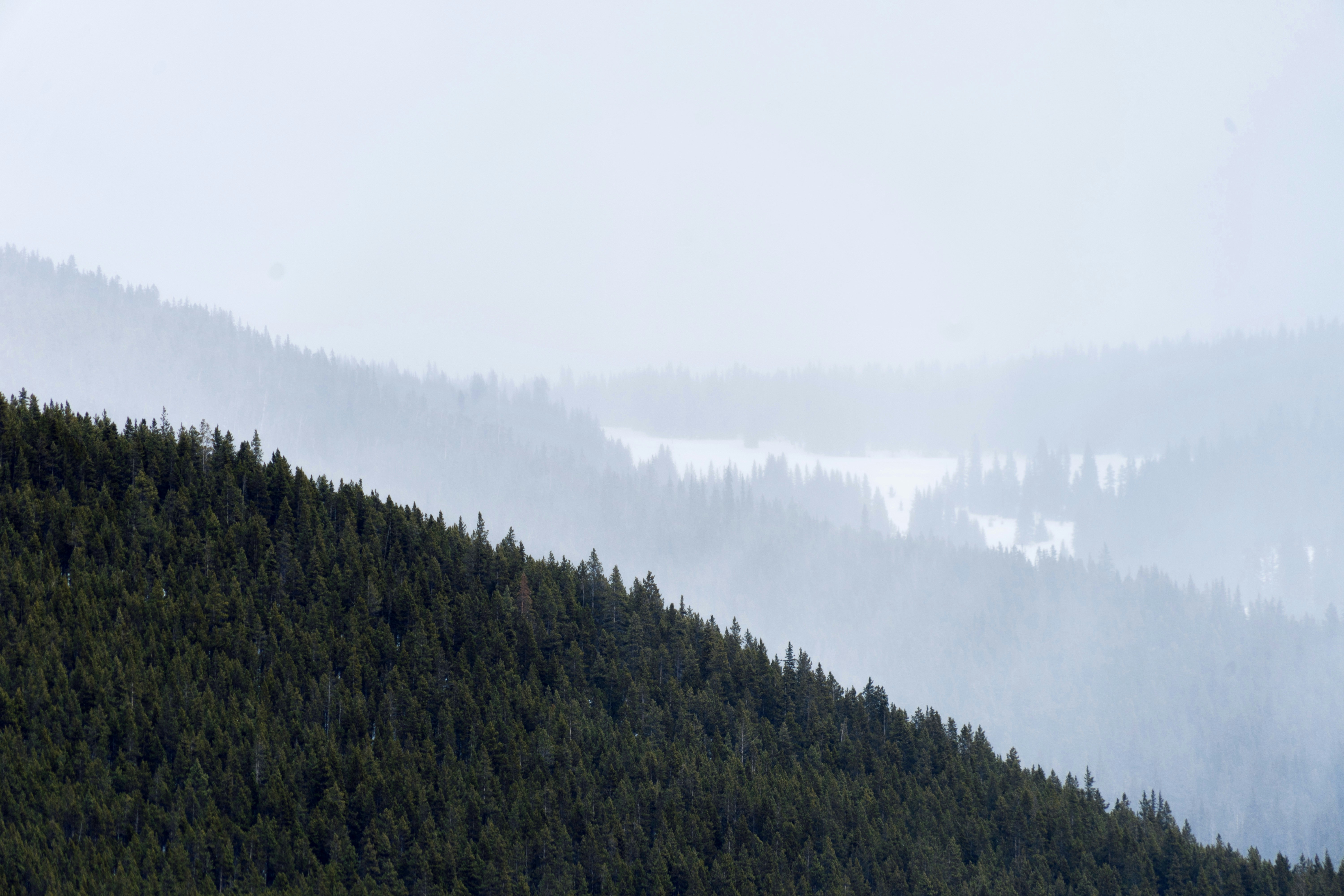 Photo by itworkonline