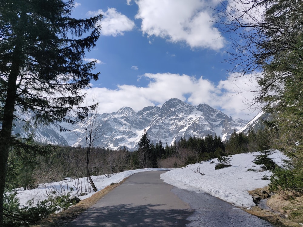 a snow covered road with a mountain in the background