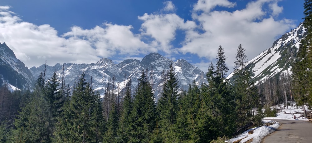 green pine trees near snow covered mountain under blue and white cloudy sky during daytime