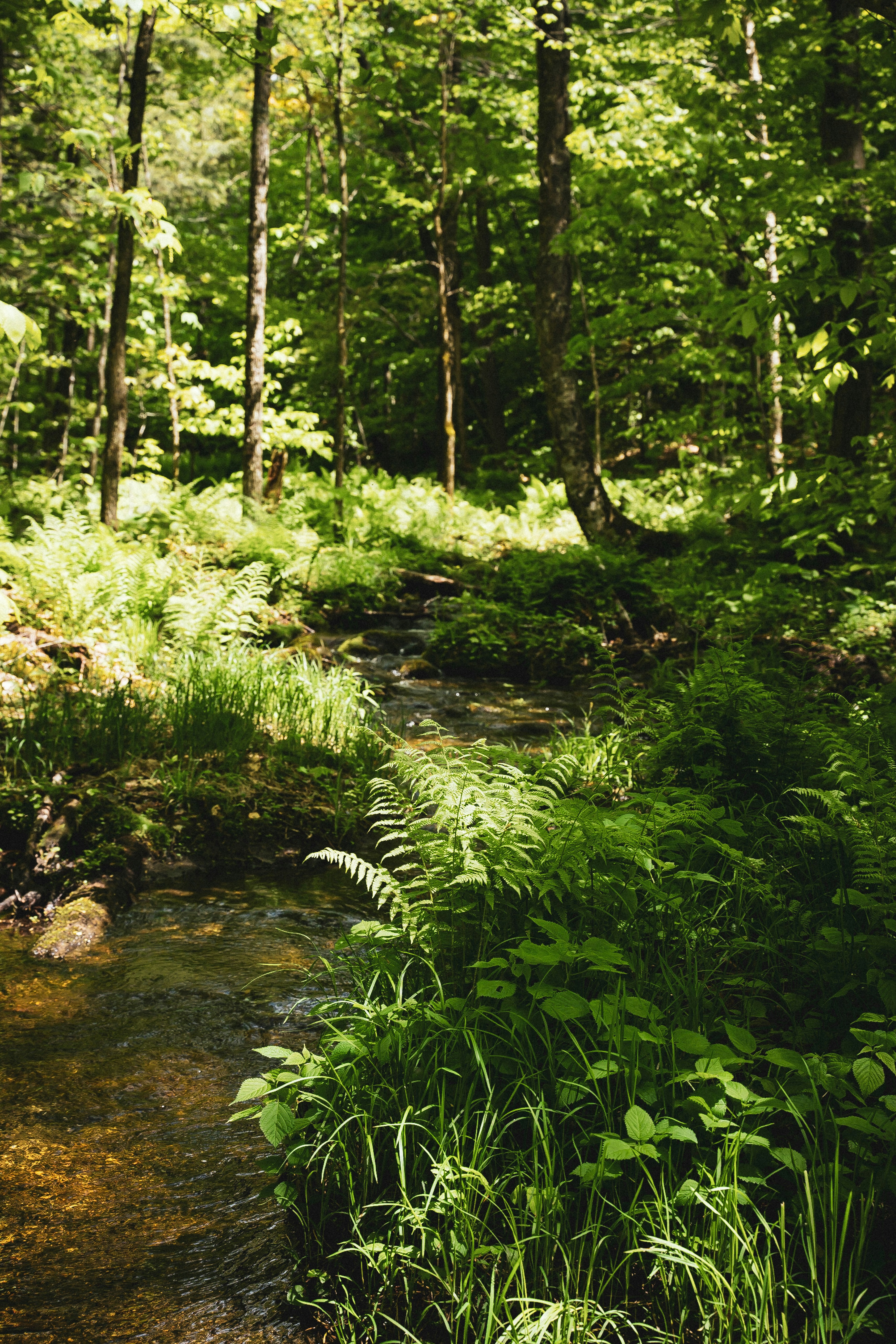 Photo by thomaslrdeau