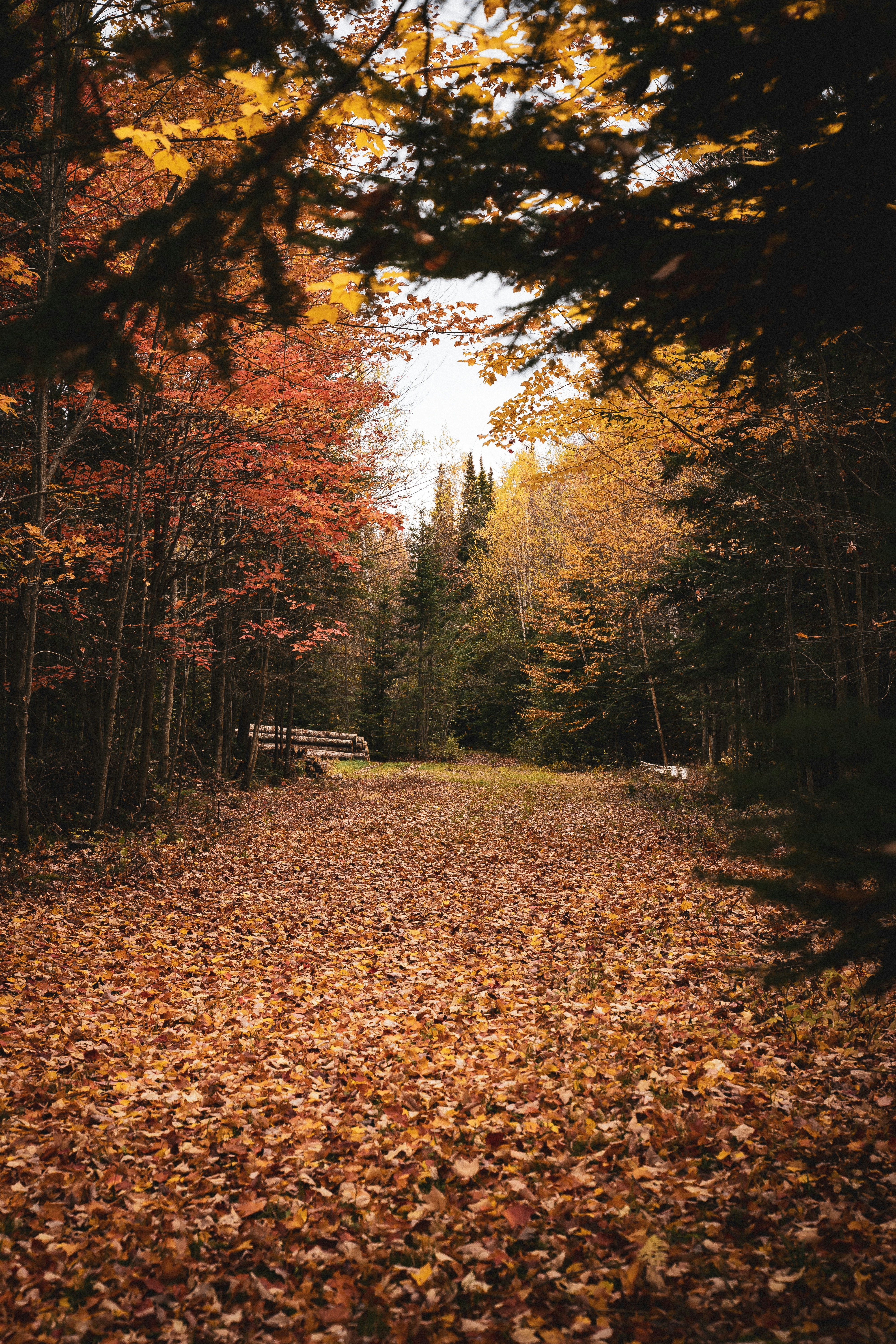 Parc national du Mont M&eacute;gantic, Route du Parc, Notre Dame des Bois, QC, Canada