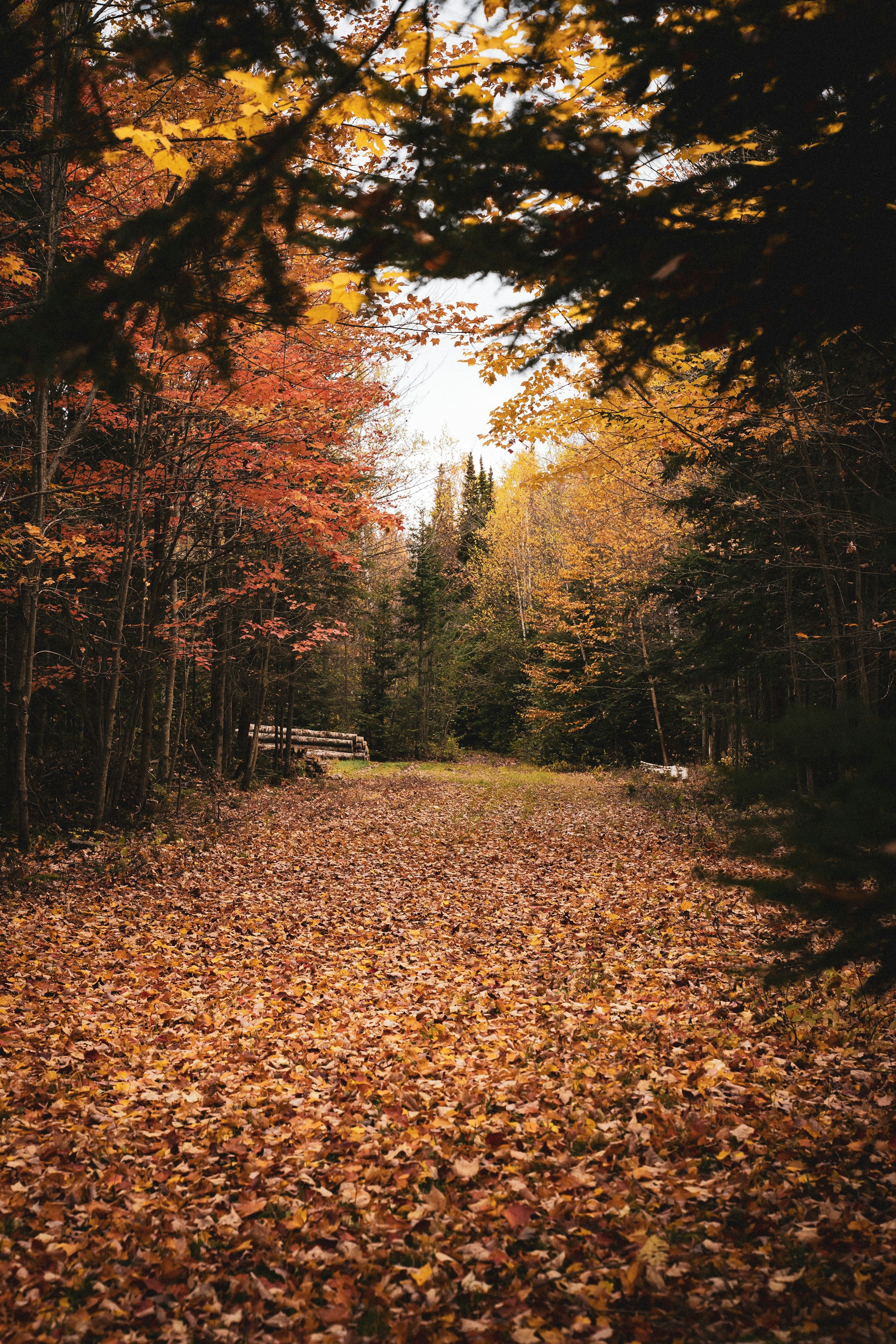 Parc national du Mont Mégantic, Route du Parc, Notre Dame des Bois, QC, Canada