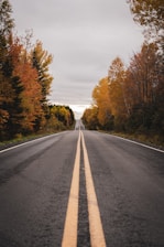 an empty road in the middle of a forest