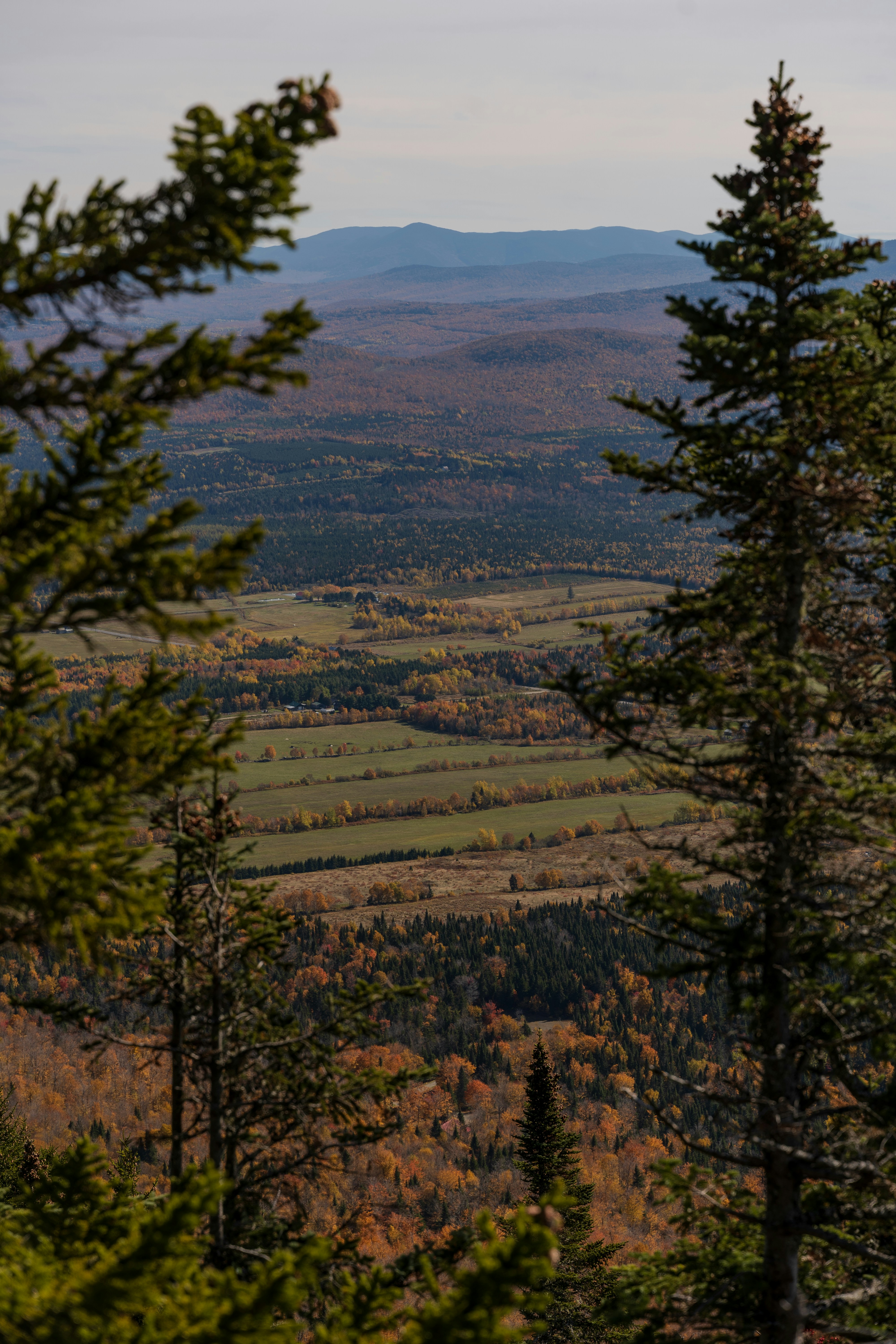 Photo by thomaslrdeau