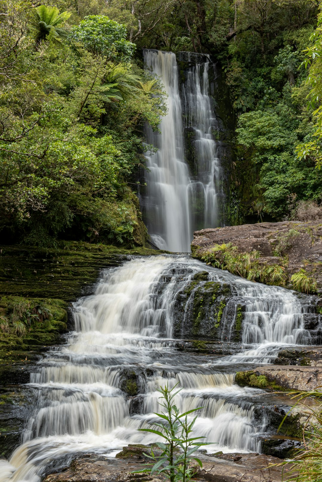 Waterfall photo spot McLean Falls Purakaunui Falls