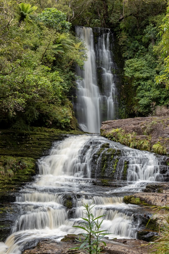 waterfalls in forest during daytime in McLean Falls New Zealand