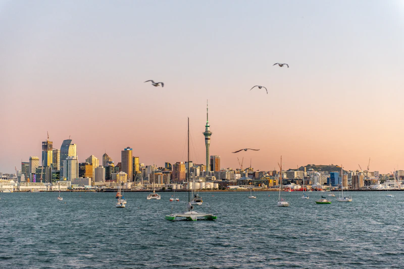 The Perfect One-Day Itinerary in Auckland: Where to Go and When