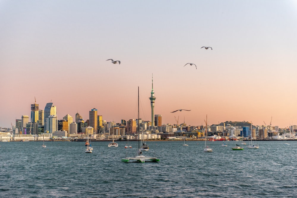 people riding on boat on sea near city buildings during daytime