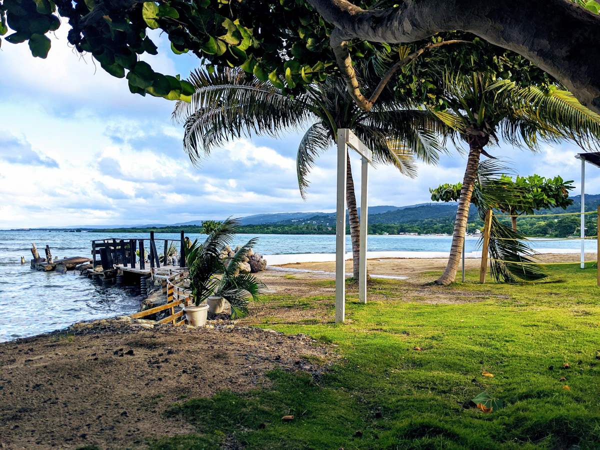 Palm trees along the Jamaican coastline near Montego Bay