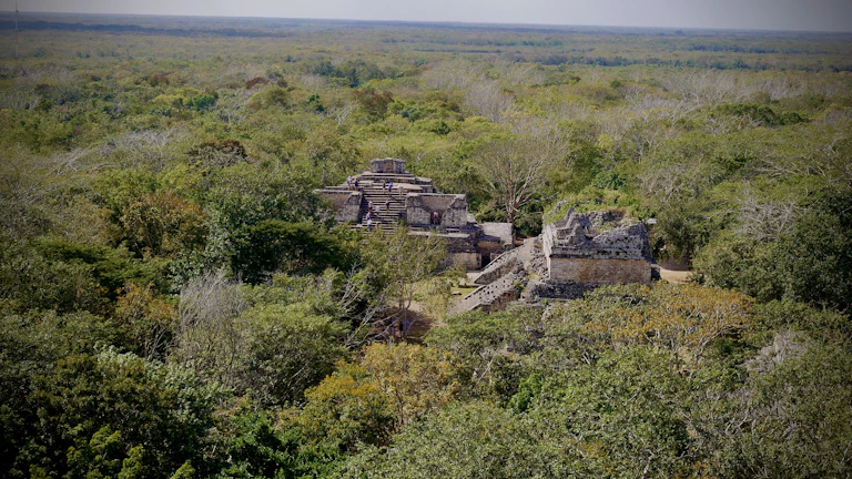 Ancient stone ruins framed by lush green jungle foliage.