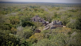 Ancient stone ruins hidden in a dense, green jungle. The image reveals a central stone structure with steps leading up, surrounded by lush vegetation extending into the horizon.