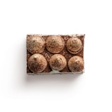 A rectangular dessert with six evenly spaced, dome-shaped mounds on top. The dessert has a dusting of cocoa powder, creating a two-tone effect of brown and cream colors.