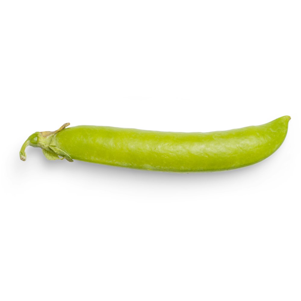 green chili on white background