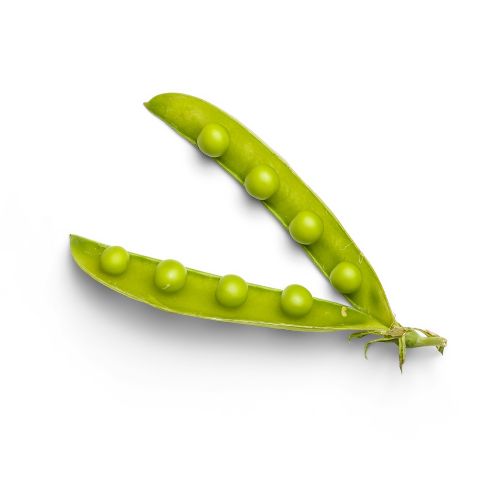 green chili pepper on white background