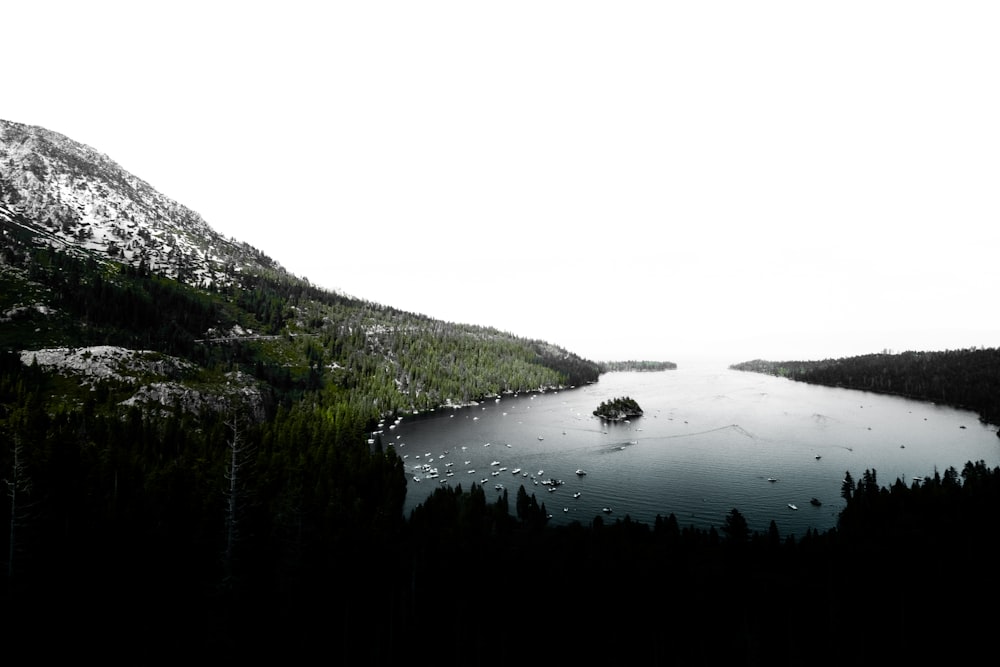 green trees on mountain near body of water during daytime