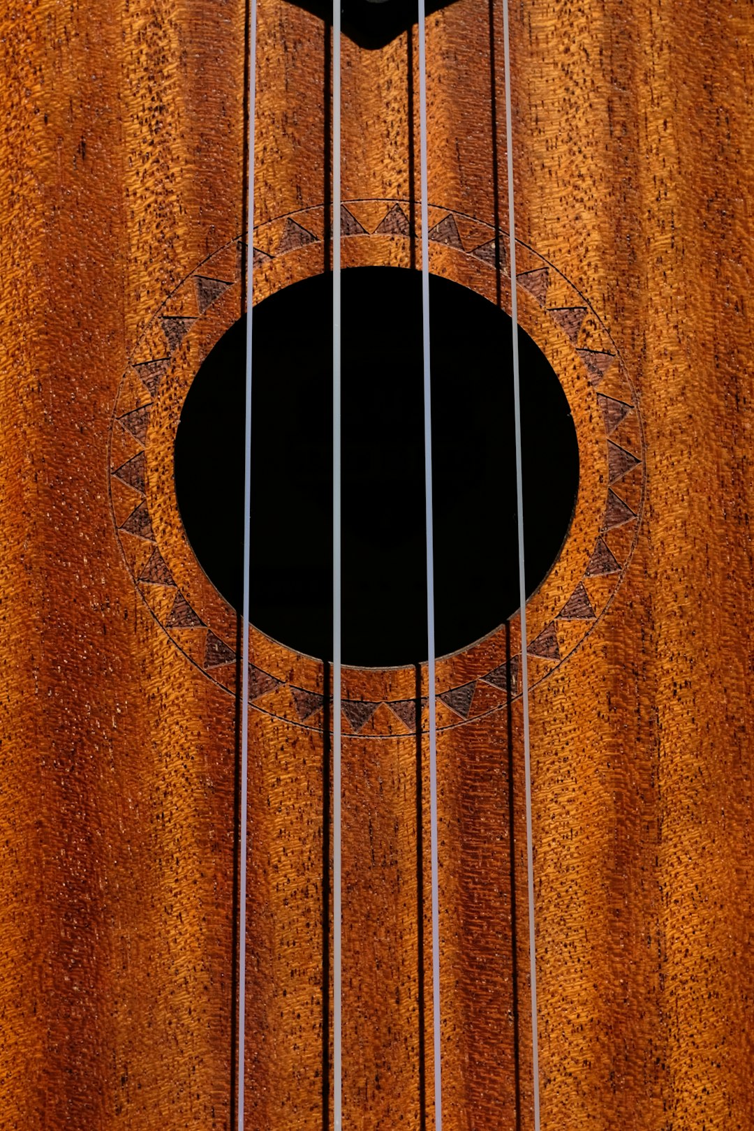 brown acoustic guitar in close up photography