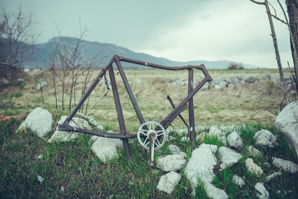 a bike frame sitting on top of a lush green field