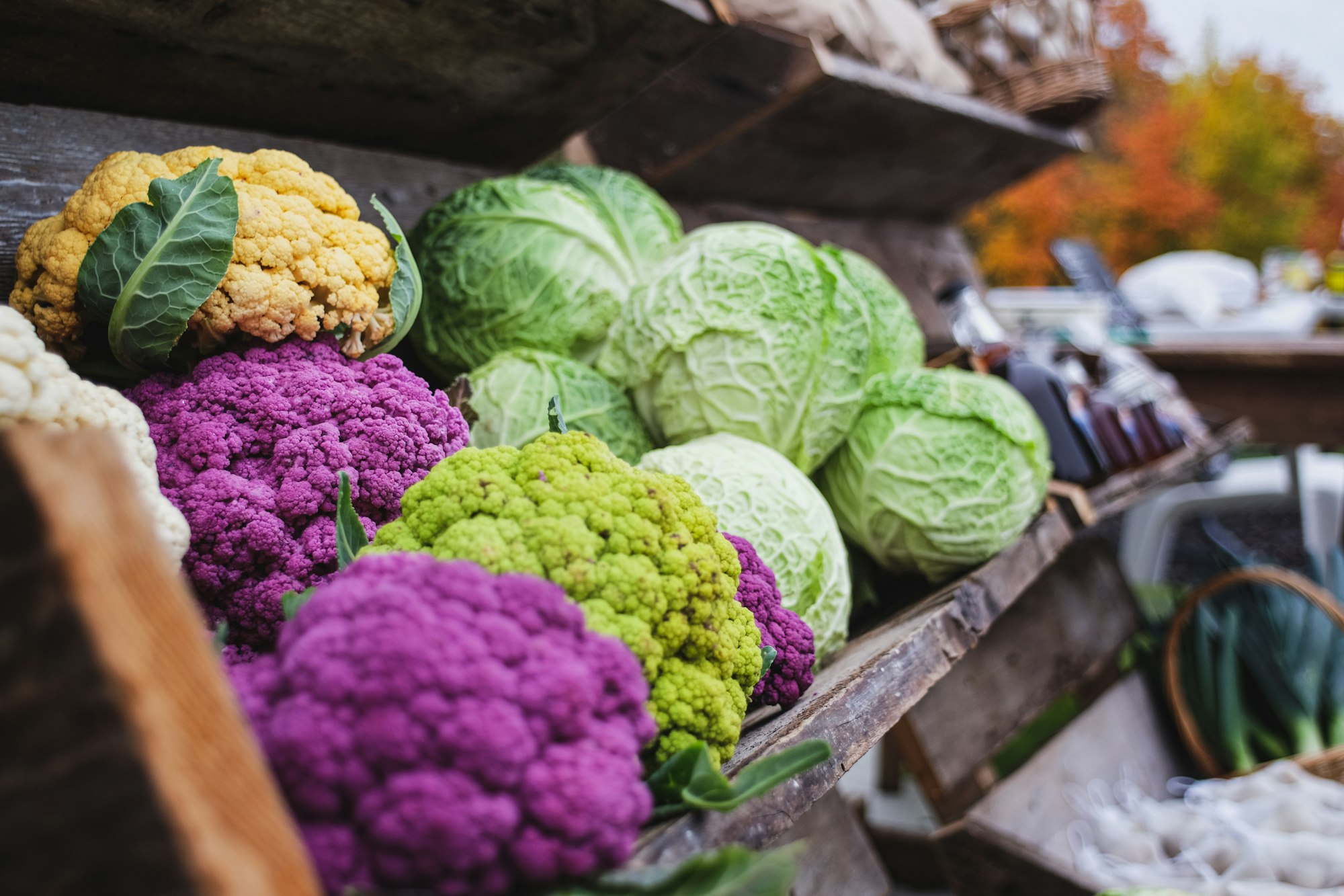Cauliflower and cabbage display